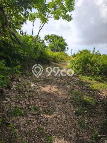 Tanah Dijual di Badung Seluas 2500m2 Strategis Tanah Dijual di Badung Seluas 2500m2 Strategis
