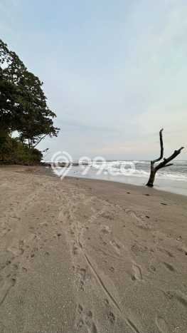 Tanah Komersial Dijual di Pekutatan Jembrana 7000m2 Tanah Komersial Dijual di Pekutatan Jembrana 7000m2