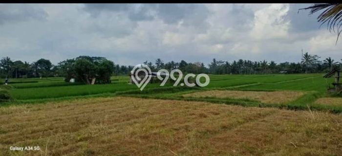 Tanah untuk Dijual di Gianyar Gianyar Luas 2490m2 Tanah untuk Dijual di Gianyar Gianyar Luas 2490m2