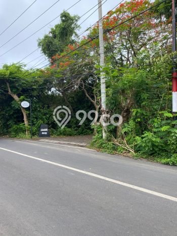 Untuk Disewa Tanah di Badung, Luas 4600m2 Area Berkembang Untuk Disewa Tanah di Badung, Luas 4600m2 Area Berkembang