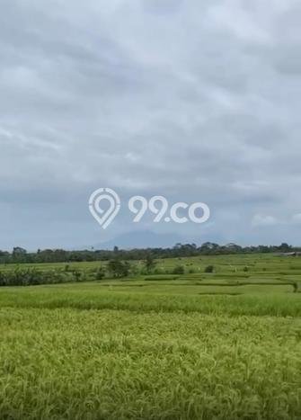 Tanah Disewa Strategis di Badung Luas 6900m2 Tanah Disewa Strategis di Badung Luas 6900m2
