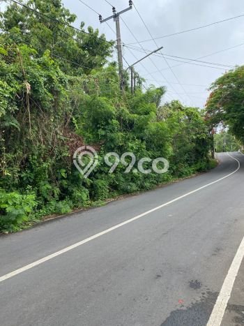 Untuk Disewa Tanah di Badung, Luas 4600m2 Area Berkembang Untuk Disewa Tanah di Badung, Luas 4600m2 Area Berkembang