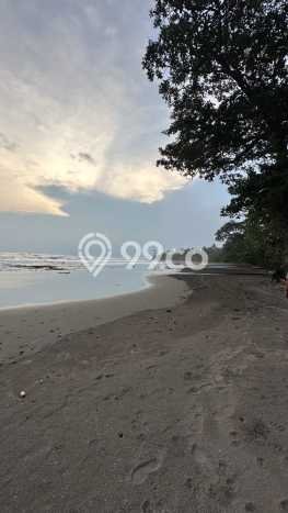 Tanah Komersial Dijual di Pekutatan Jembrana 7000m2 Tanah Komersial Dijual di Pekutatan Jembrana 7000m2