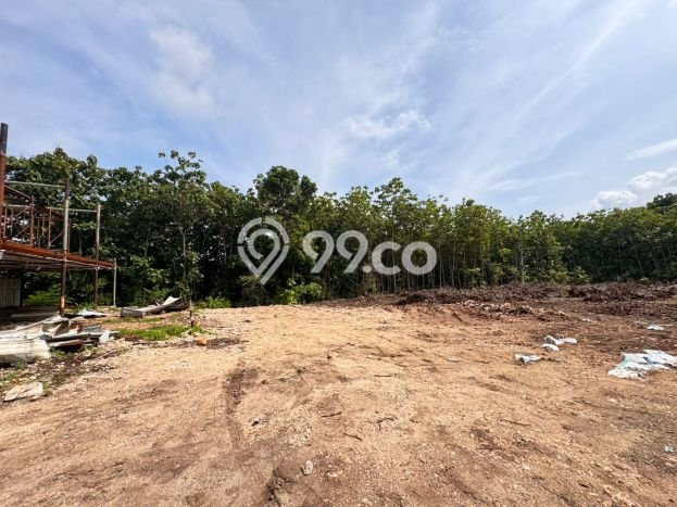 Tanah Kavling Dijual di Badung dengan Spesifikasi 3550m2 Tanah Kavling Dijual di Badung dengan Spesifikasi 3550m2
