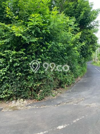 Tanah Disewa Strategis di Badung Luas 3650m2 Tanah Disewa Strategis di Badung Luas 3650m2