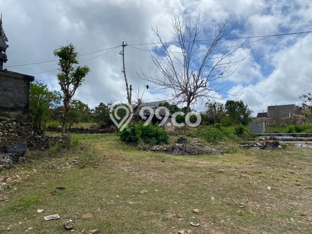 SEWA LAHAN! Tanah di Kutuh, Luas 5000m², Area Komersial SEWA LAHAN! Tanah di Kutuh, Luas 5000m², Area Komersial
