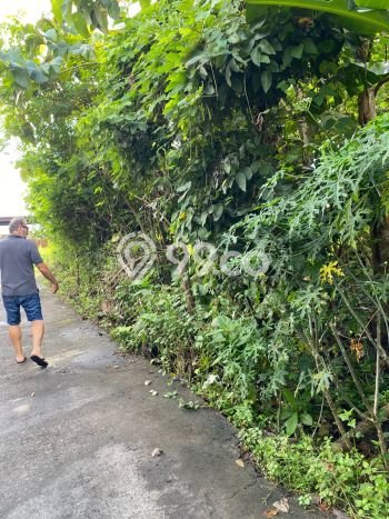 Lahan Dijual Lokasi Strategis di Badung dengan Luas 1800m2 Lahan Dijual Lokasi Strategis di Badung dengan Luas 1800m2