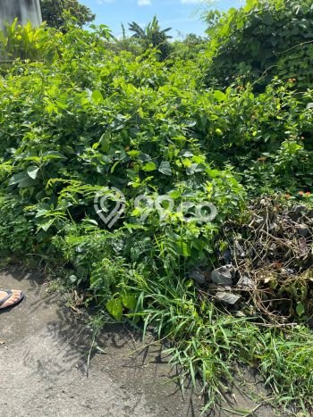 Lahan Dijual Lokasi Strategis di Badung dengan Luas 1800m2 Lahan Dijual Lokasi Strategis di Badung dengan Luas 1800m2