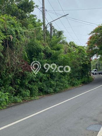 Untuk Disewa Tanah di Badung, Luas 4600m2 Area Berkembang Untuk Disewa Tanah di Badung, Luas 4600m2 Area Berkembang