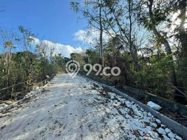 Tanah Siap Bangun Dijual di Badung Punya Luas 15600m2 Tanah Siap Bangun Dijual di Badung Punya Luas 15600m2