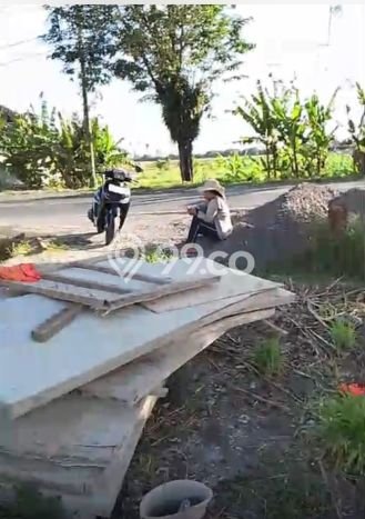 Kavling Tanah di Pekutatan Dijual Luas 11800m2 Legalitas SHM Kavling Tanah di Pekutatan Dijual Luas 11800m2 Legalitas SHM