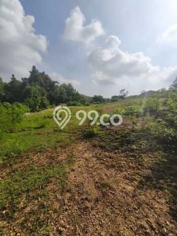 Tanah Dijual di Badung Seluas 2500m2 Strategis Tanah Dijual di Badung Seluas 2500m2 Strategis