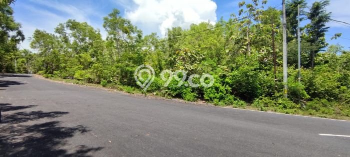 Tanah Kavling Dijual di Ungasan, Badung dengan Luas Tanah 2500m2 Tanah Kavling Dijual di Ungasan, Badung dengan Luas Tanah 2500m2