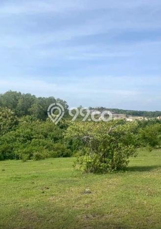 Tanah Kavling Dijual di Badung dengan Spesifikasi 4480m2 Tanah Kavling Dijual di Badung dengan Spesifikasi 4480m2