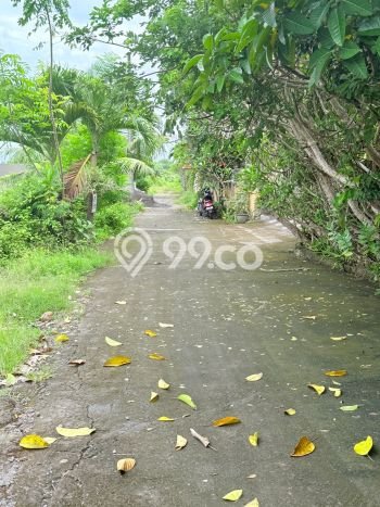 Kavling Tanah untuk Dijual di Kutuh, Badung, Luas 10900m2 Kavling Tanah untuk Dijual di Kutuh, Badung, Luas 10900m2
