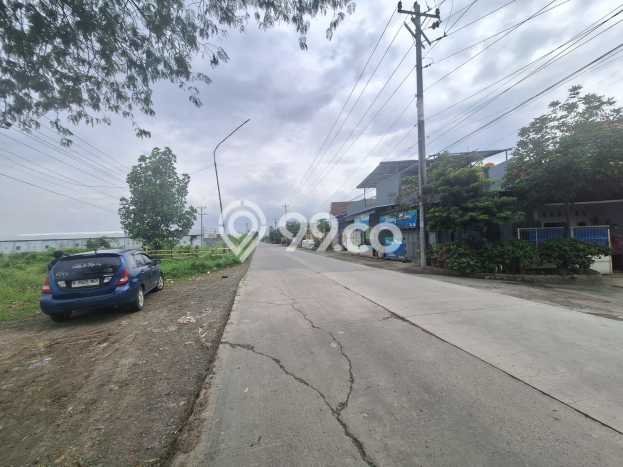 Lahan Dijual Lokasi Pemalang, Pemalang dengan Luas Tanah 65000m2 dan Status SHM Lahan Dijual Lokasi Pemalang, Pemalang dengan Luas Tanah 65000m2 dan Status SHM