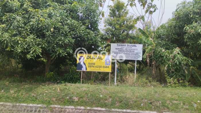 Tanah di Kedawung, Cirebon Luas 2676m2 Dijual Segera Tanah di Kedawung, Cirebon Luas 2676m2 Dijual Segera