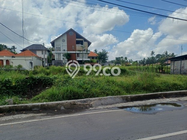 Lahan Investasi Lokasi Ubud Gianyar SHM Lahan Investasi Lokasi Ubud Gianyar SHM