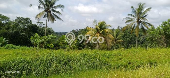 Dijual Tanah di Tegallalang Gianyar Luas 1900m2 SHM Dijual Tanah di Tegallalang Gianyar Luas 1900m2 SHM