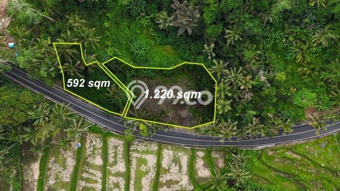 Tanah Dijual Lokasi Tegallalang, Gianyar Luas 1818m2 Legalitas Aman Tanah Dijual Lokasi Tegallalang, Gianyar Luas 1818m2 Legalitas Aman