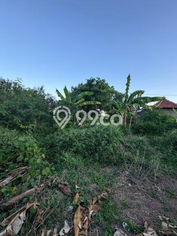 Tanah Kavling untuk Dijual di Sukawati Gianyar 941m2 Tanah Kavling untuk Dijual di Sukawati Gianyar 941m2