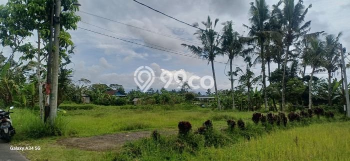 Untuk Dijual Tanah di Tampaksiring Gianyar Luas 1700m2 SHM Untuk Dijual Tanah di Tampaksiring Gianyar Luas 1700m2 SHM