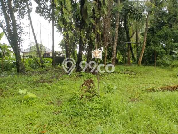 Lahan Kosong Dijual di Gianyar dengan Area 300m2 Lahan Kosong Dijual di Gianyar dengan Area 300m2