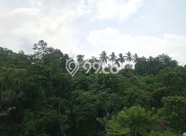Untuk Dijual Tanah 1700m2 di Bedulu, Gianyar Untuk Dijual Tanah 1700m2 di Bedulu, Gianyar