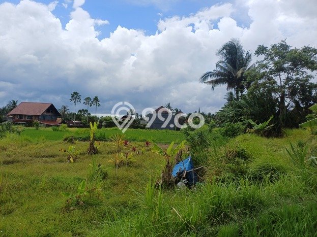 Tanah Kavling Dijual di Pejeng Kangin, Gianyar dengan Luas Tanah 700m2 Tanah Kavling Dijual di Pejeng Kangin, Gianyar dengan Luas Tanah 700m2