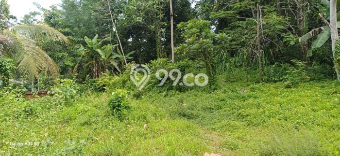Tanah Disewakan Lokasi Gianyar Seluas 6000m2 Strategis dan Aman Tanah Disewakan Lokasi Gianyar Seluas 6000m2 Strategis dan Aman