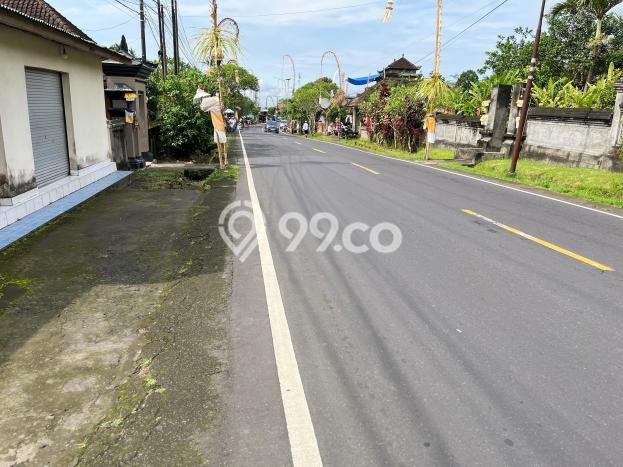 Jarang Ada! Tanah Kavling Disewakan di Gianyar 4500m2 Jarang Ada! Tanah Kavling Disewakan di Gianyar 4500m2