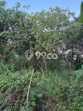 Tanah Kavling untuk Dijual di Sukawati Gianyar 941m2 Tanah Kavling untuk Dijual di Sukawati Gianyar 941m2
