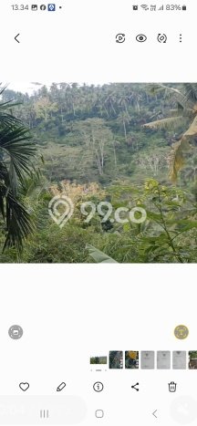 Kavling Tanah Dijual di Tampaksiring Gianyar Spesifikasi 400m2 Kavling Tanah Dijual di Tampaksiring Gianyar Spesifikasi 400m2