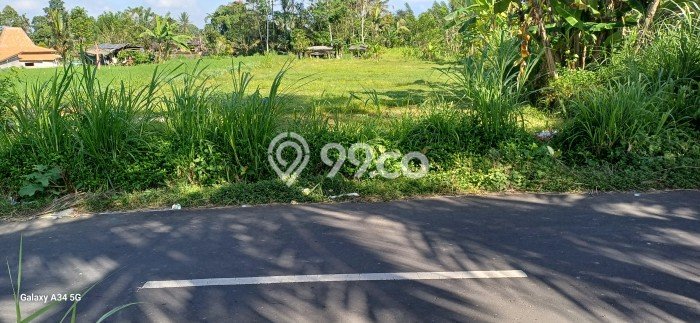Kavling Tanah untuk Dijual di Sanding, Gianyar, Luas 2300m2 Kavling Tanah untuk Dijual di Sanding, Gianyar, Luas 2300m2