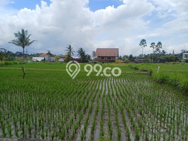 Tanah Siap Bangun Dijual di Gianyar Punya Luas 783m2 Tanah Siap Bangun Dijual di Gianyar Punya Luas 783m2