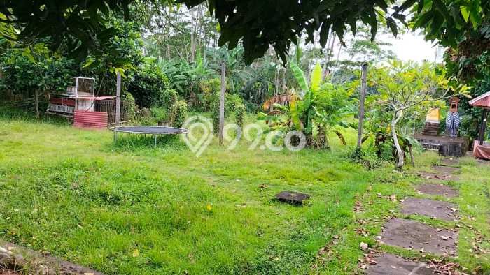 Tanah Dijual Area Strategis di Kemenuh Gianyar 9500m2 Tanah Dijual Area Strategis di Kemenuh Gianyar 9500m2