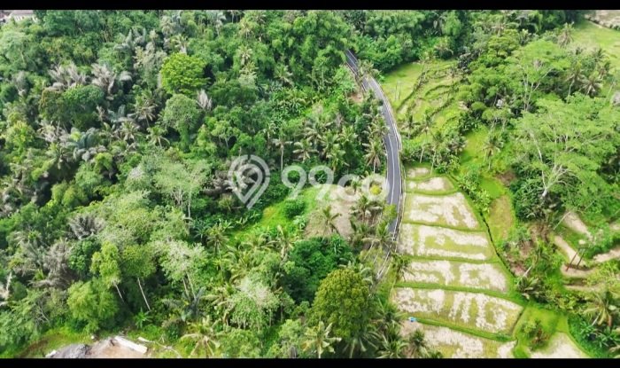 Tanah Dijual Lokasi Tegallalang, Gianyar Luas 1818m2 Legalitas Aman Tanah Dijual Lokasi Tegallalang, Gianyar Luas 1818m2 Legalitas Aman
