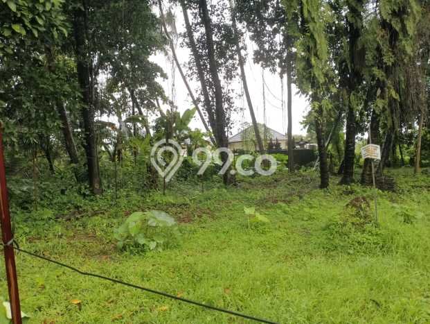 Lahan Kosong Dijual di Gianyar dengan Area 300m2 Lahan Kosong Dijual di Gianyar dengan Area 300m2