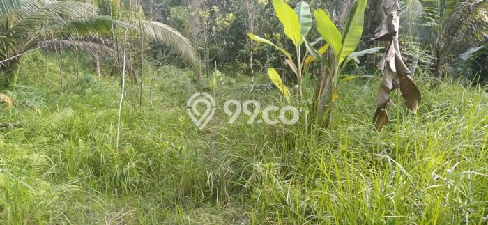 Disewakan Tanah di Sanding Gianyar Seluas 6700m2 Disewakan Tanah di Sanding Gianyar Seluas 6700m2
