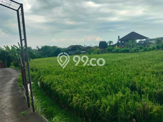 Tanah Kavling untuk Dijual di Sukawati Gianyar 941m2 Tanah Kavling untuk Dijual di Sukawati Gianyar 941m2