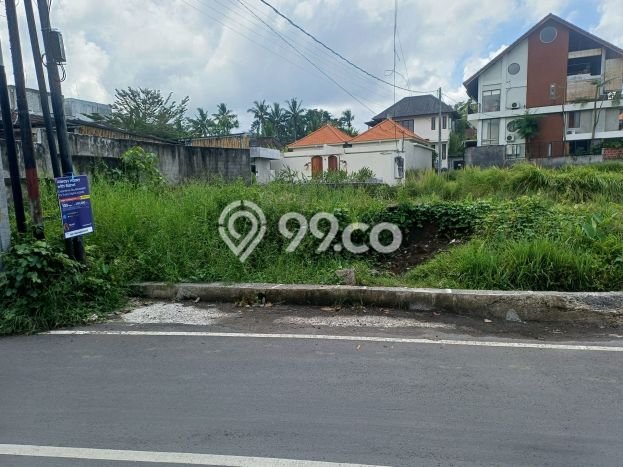 Lahan Investasi Lokasi Ubud Gianyar SHM Lahan Investasi Lokasi Ubud Gianyar SHM