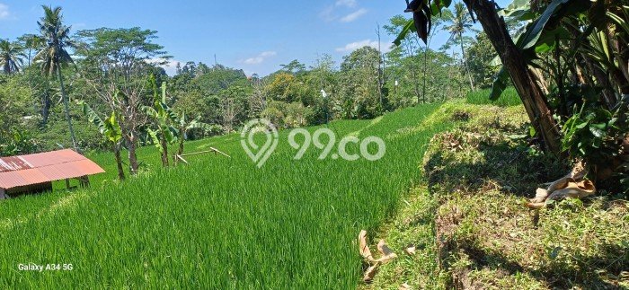 Tanah Strategis Disewakan di Tampaksiring Gianyar Seluas 1000m2 Tanah Strategis Disewakan di Tampaksiring Gianyar Seluas 1000m2
