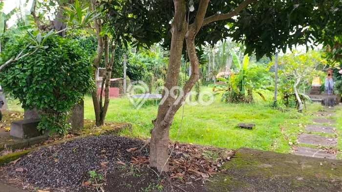 Tanah Dijual Area Strategis di Kemenuh Gianyar 9500m2 Tanah Dijual Area Strategis di Kemenuh Gianyar 9500m2