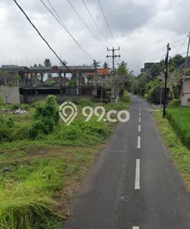 Dijual Tanah Lokasi Kemenuh, Gianyar Seluas 3800m2 Dijual Tanah Lokasi Kemenuh, Gianyar Seluas 3800m2
