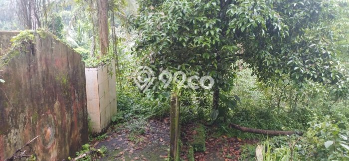 Lahan Dijual Lokasi Strategis di Gianyar dengan Luas 2700m2 Lahan Dijual Lokasi Strategis di Gianyar dengan Luas 2700m2