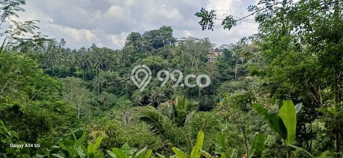 Kavling Tanah Dijual di Tampaksiring Gianyar Spesifikasi 400m2 Kavling Tanah Dijual di Tampaksiring Gianyar Spesifikasi 400m2
