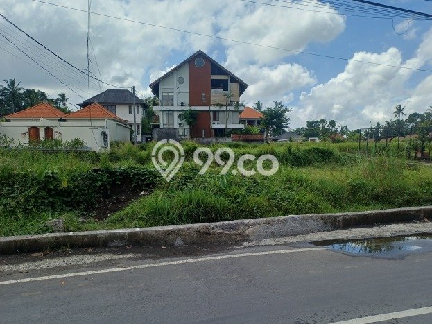 Lahan Investasi Lokasi Ubud Gianyar SHM Lahan Investasi Lokasi Ubud Gianyar SHM