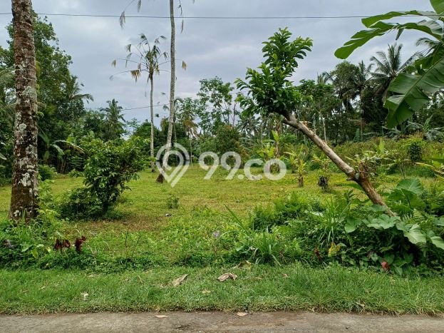 Kavling Tanah Dijual di Tegallalang Gianyar Spesifikasi 1100m2 Kavling Tanah Dijual di Tegallalang Gianyar Spesifikasi 1100m2