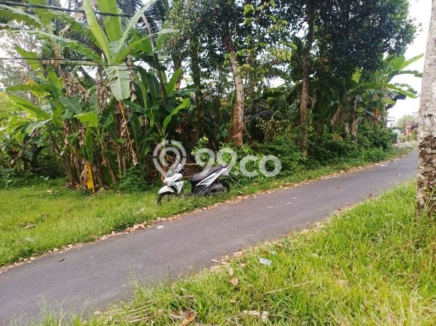 Tanah Disewa di Tampaksiring Gianyar dengan Luas 700m2 Tanah Disewa di Tampaksiring Gianyar dengan Luas 700m2