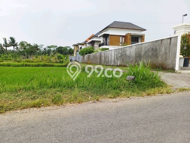 Tanah Siap Bangun Dijual di Gianyar Punya Luas 783m2 Tanah Siap Bangun Dijual di Gianyar Punya Luas 783m2